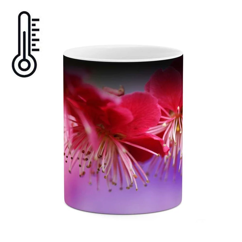 ماگ حرارتی کاکتی مدل گل کد mgh11379