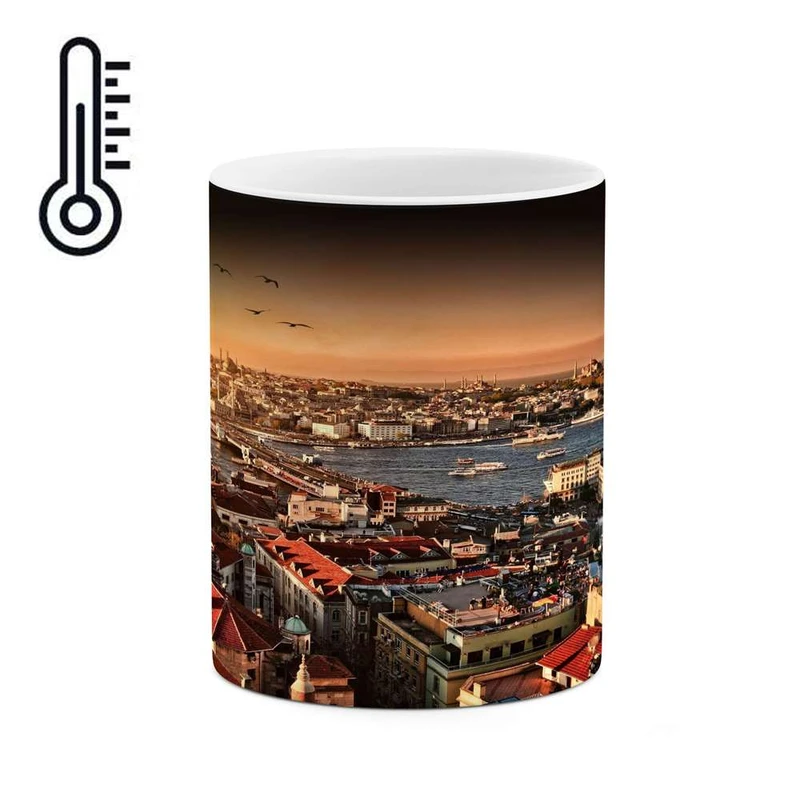 ماگ حرارتی کاکتی مدل شهر کد mgh13353