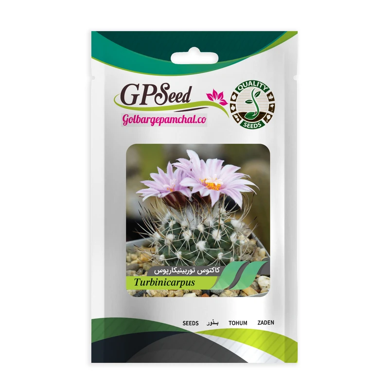 بذر کاکتوس توربینیکارپوش گلبرگ پامچال کد GPF-184