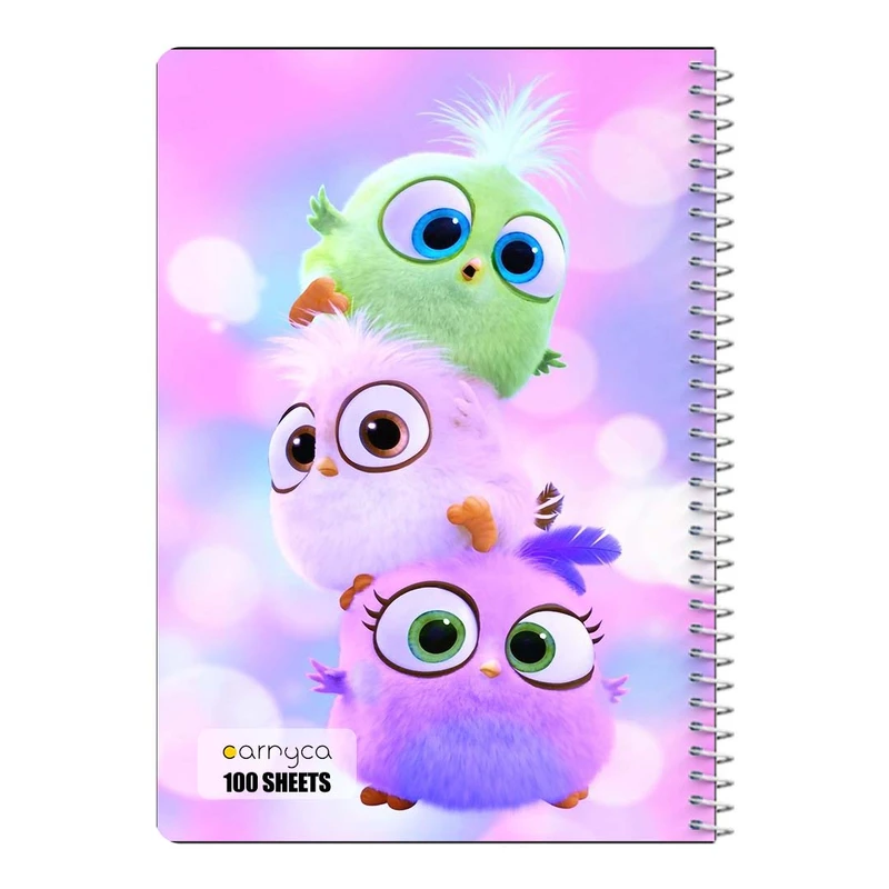 دفتر مشق 100 برگ سیمی کارنیکا طرح پرندگان خشمگین The Angry Birds کد 47329