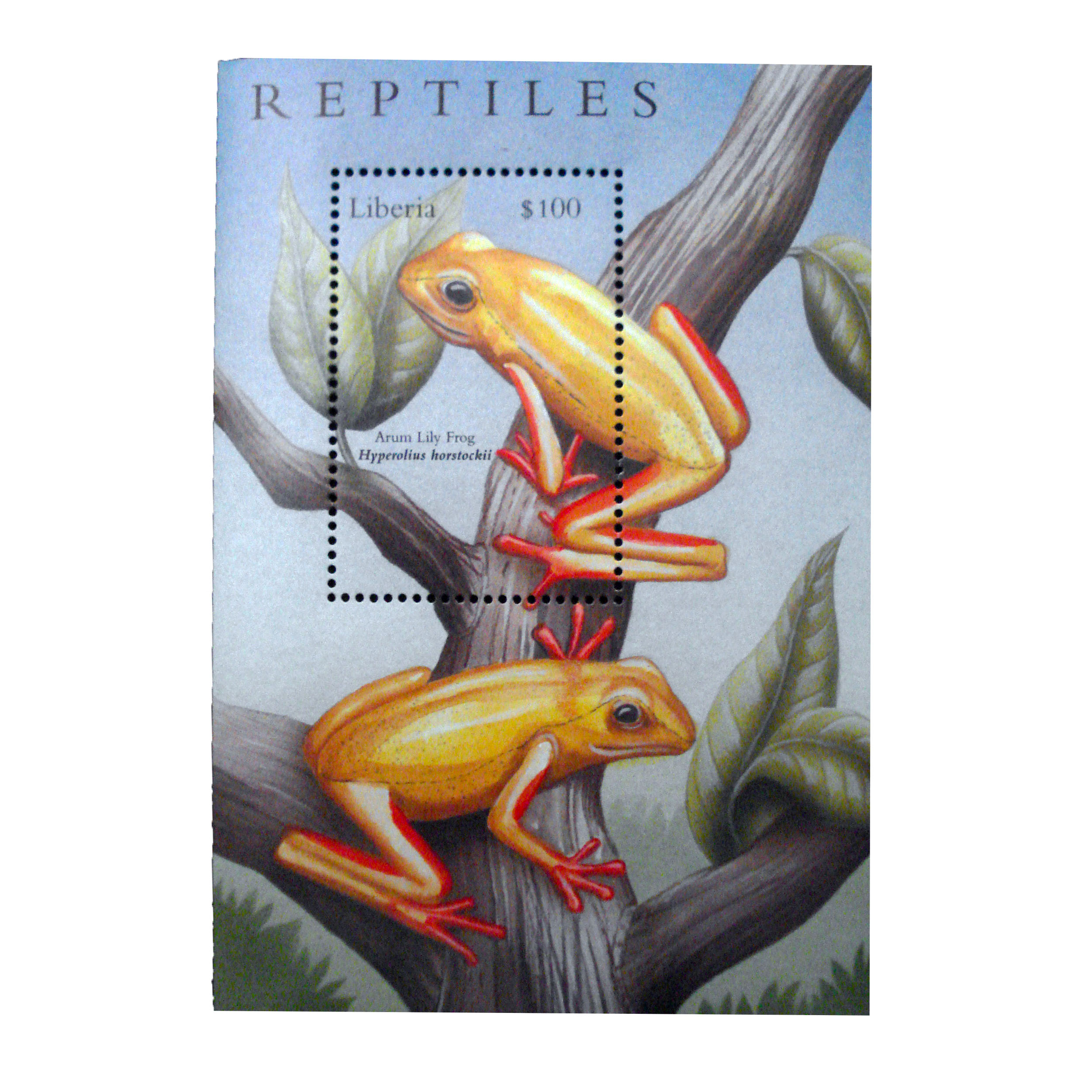 تمبر یادگاری مدل قورباغه کد bc-1182 