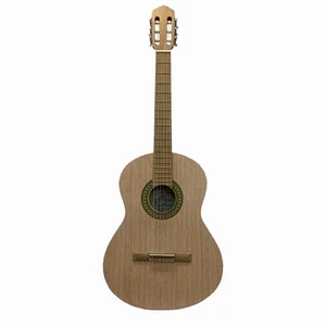 گیتار مدل C70