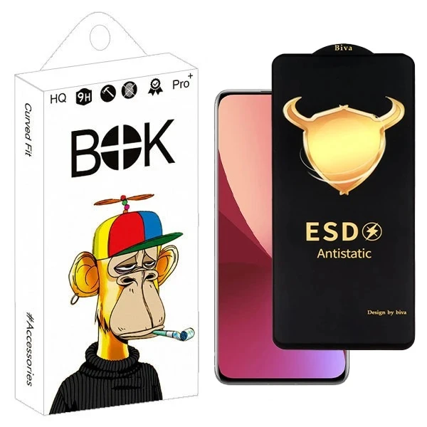 محافظ صفحه نمایش بوک مدل  Biva Antistatic gala مناسب برای گوشی موبایل اپلiphone 17