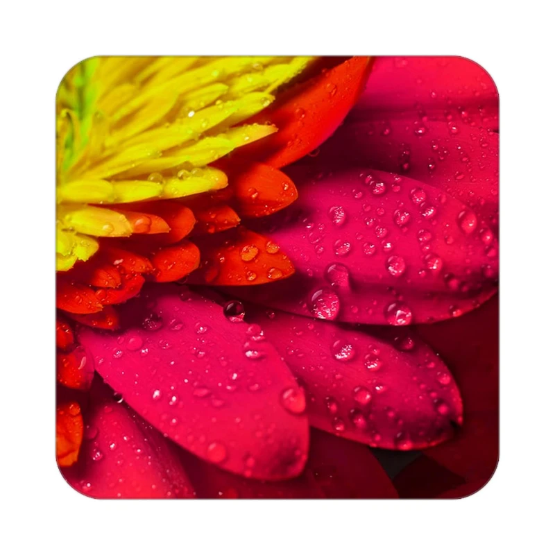 زیر لیوانی کاکتی طرح گل مدل mp17591