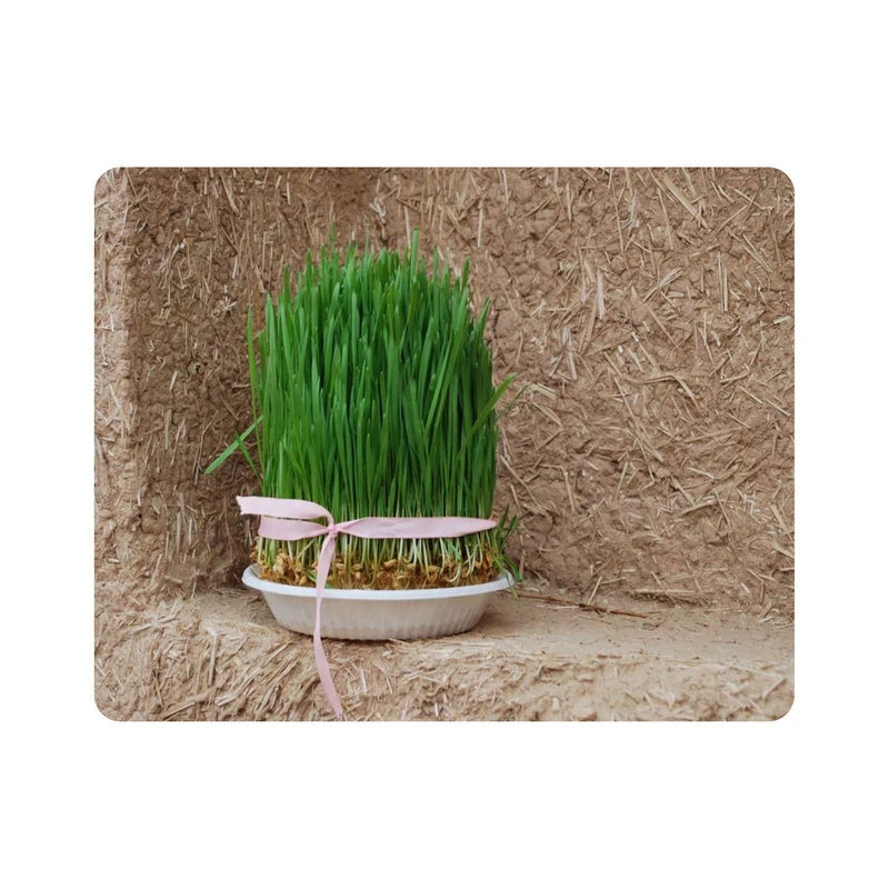 ماوس پد اطلس آبی طرح دیوار کاهگلی و سبزه عید نوروز مدل T1560