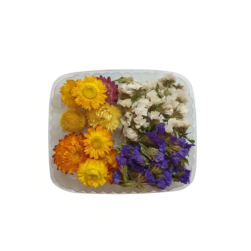 گل خشک مدل زنبوری 2 مینا