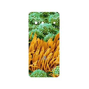 MAHOOT Atom Universe 6 Cover Sticker for Google Pixel 7