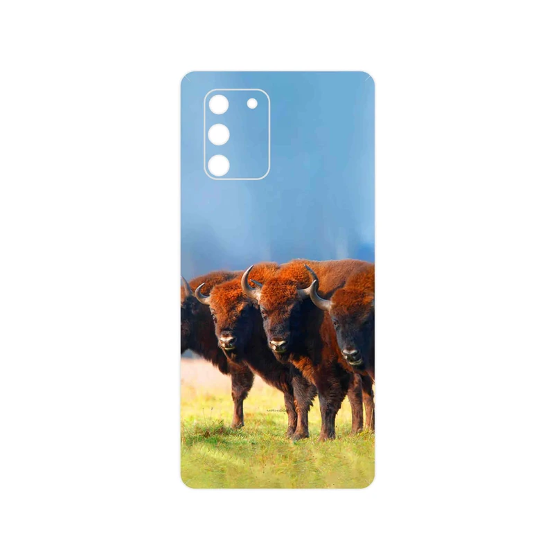 برچسب پوششی ماهوت مدل Buffalo مناسب برای گوشی موبایل سامسونگ Galaxy S10 Lite