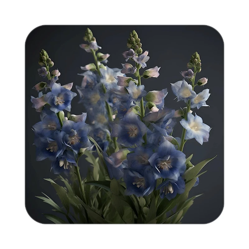 زیر لیوانی کاکتی طرح گل مدل mp16492