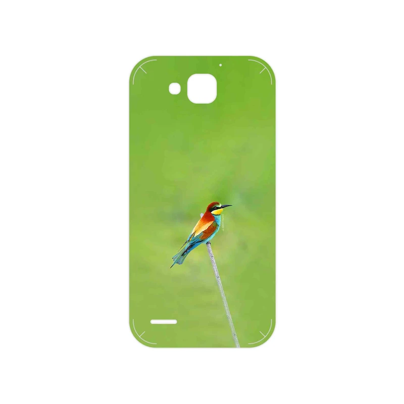 برچسب پوششی ماهوت مدل European bee-eater مناسب برای گوشی موبایل آنر 3X G750