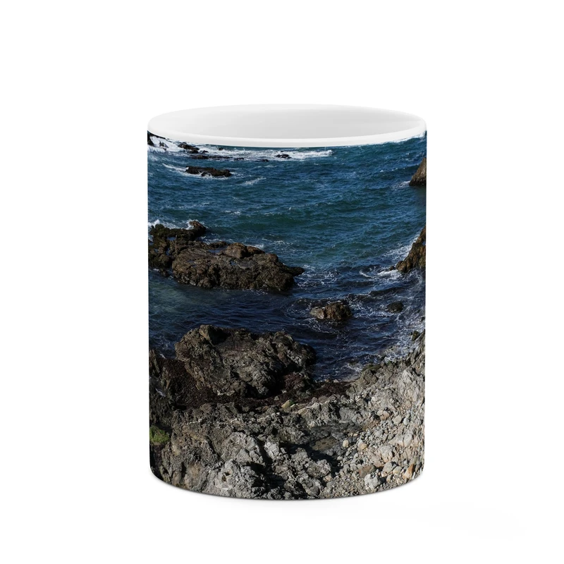 ماگ کاکتی طرح صخره کد mgp10452