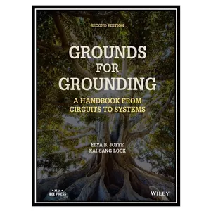 کتاب Grounds for Grounding اثر Elya B. Joffe, Kai-Sang Lock انتشارات مؤلفین طلایی