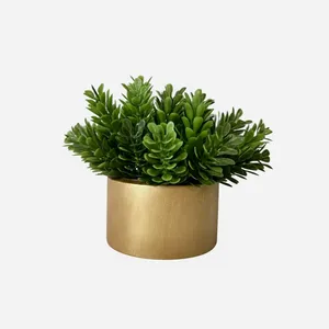 گلدان به همراه گل مصنوعی مدل کاج کد 843