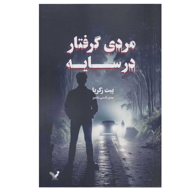 کتاب مردی گرفتار در سایه اثر پیت زکریا ترجمه مهدی قاسمی شاندیز انتشارات کتابسرای تندیس