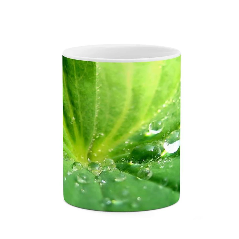 ماگ کاکتی مدل قطره آب کد mgh12186