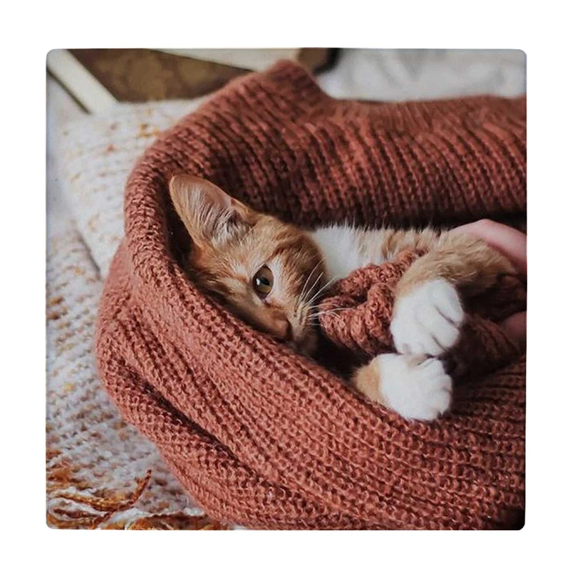  زیر لیوانی  طرح گربه مدل لوحی کد    5825374_4255