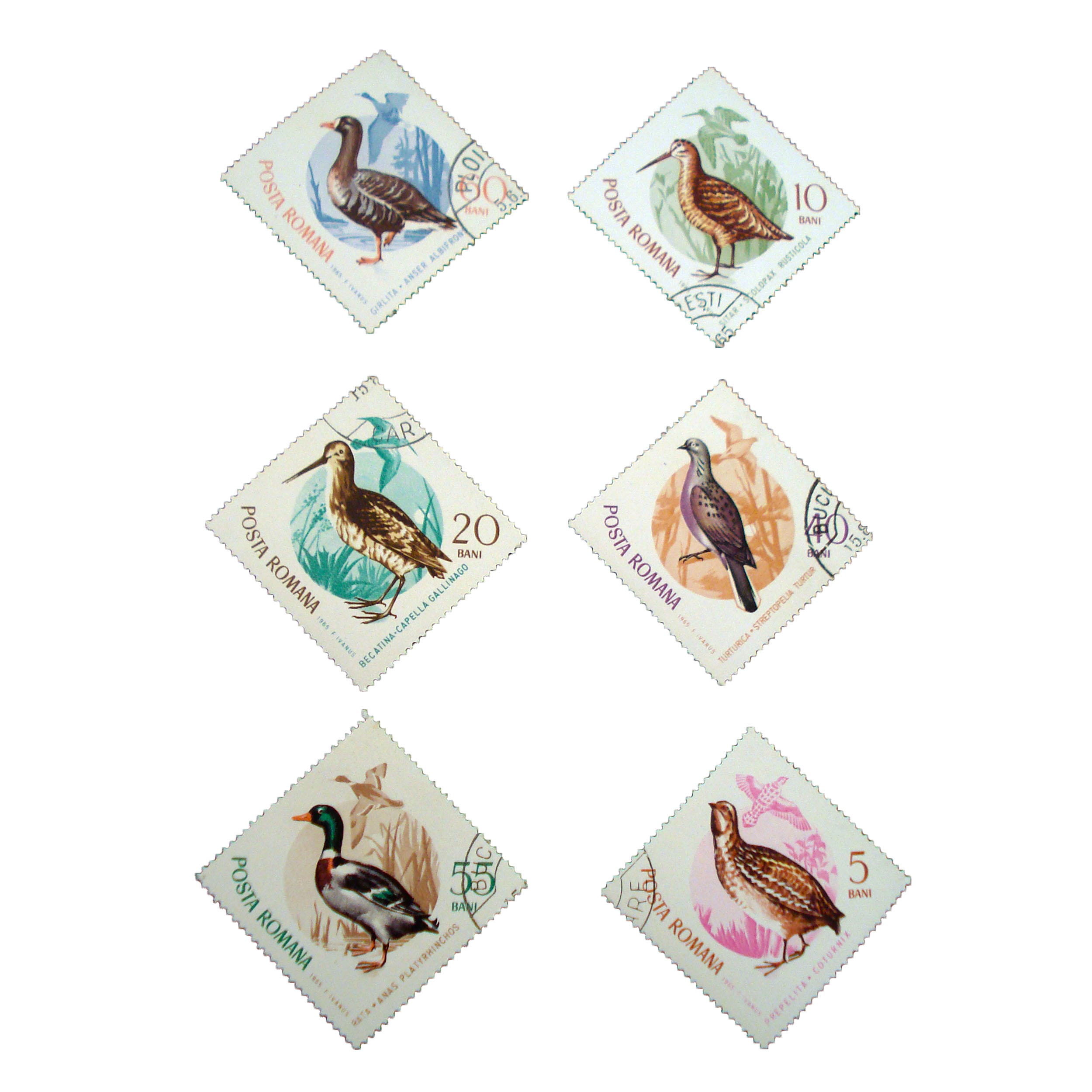 تمبر یادگاری طرح طبیعت مدل پرنده کد bird-542 مجموعه 6 عددی