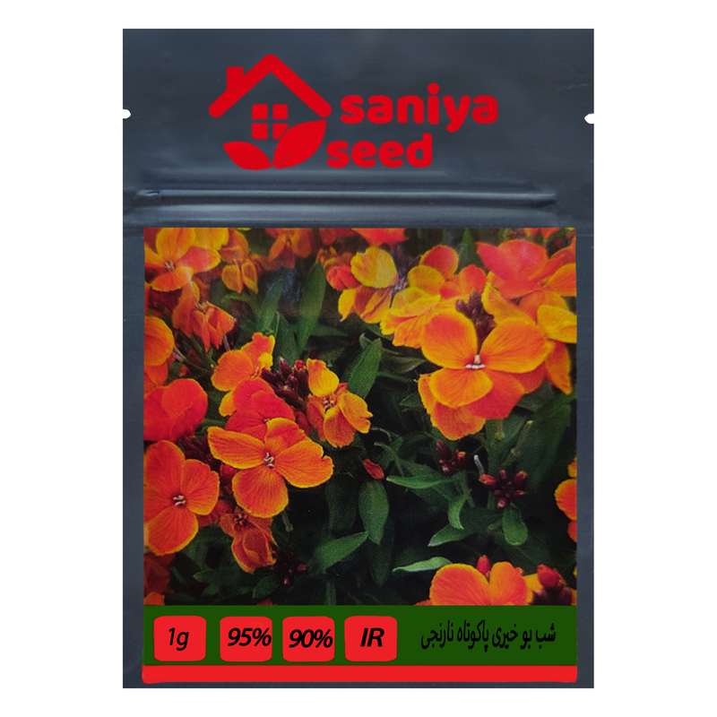 بذر گل شب بو خیری پاکوتاه نارنجی سانیا سید مدل F6