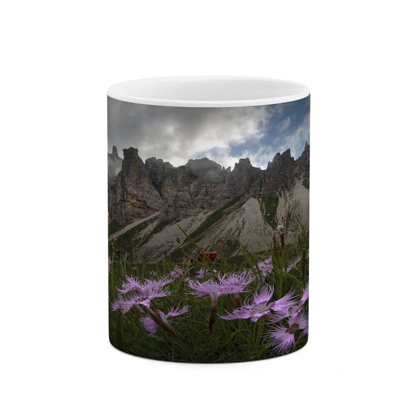 ماگ کاکتی مدل کوهستان کد mgh14583