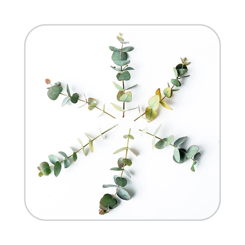 زیر لیوانی کاکتی طرح گل مدل mp19164