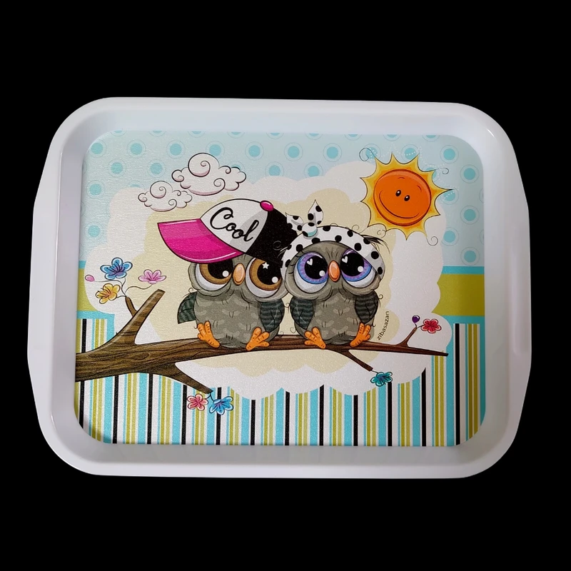 سینی مدل  WW55m