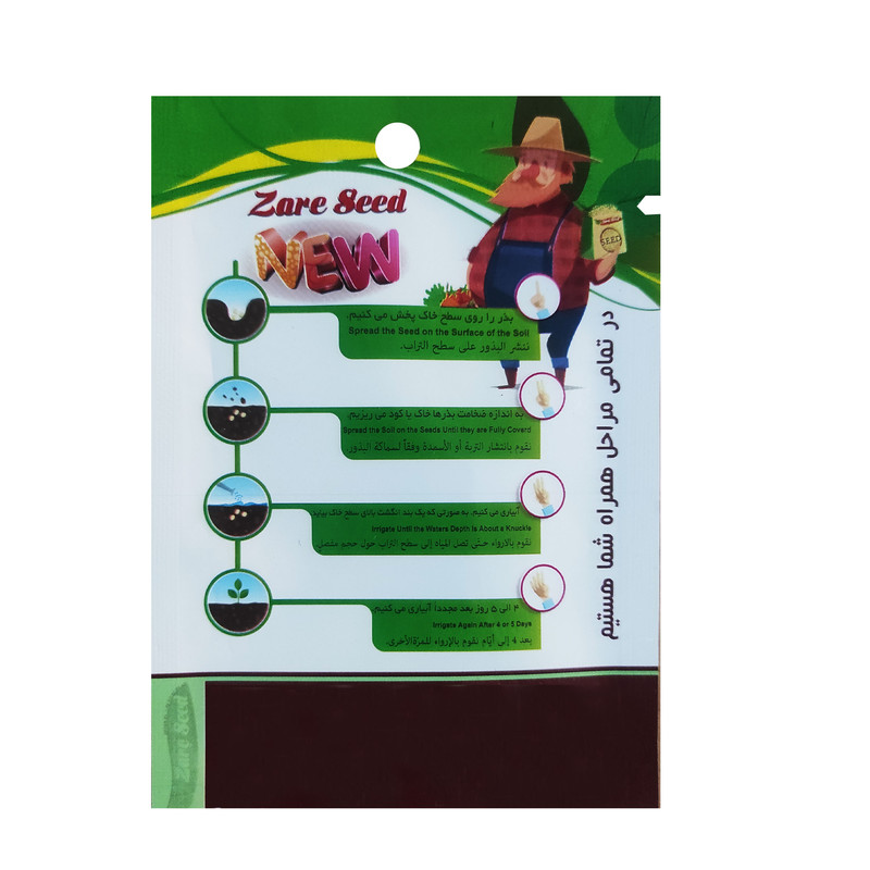 بذر نخل لیندا کشت زارع کد zs220