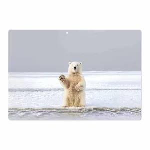 MAHOOT Polar bear Cover Sticker for Microsoft Surface Pro 3 2014