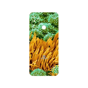 MAHOOT Atom Universe 6 Cover Sticker for OnePlus Nord N100