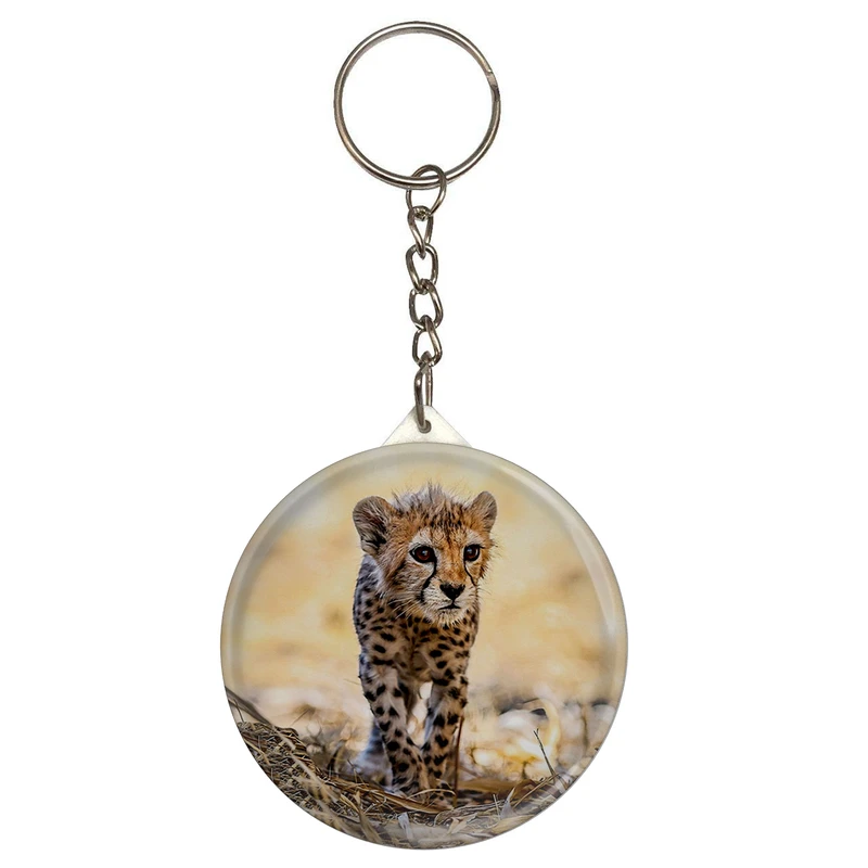 جاکلیدی مدل S12705 طرح پیروز یوزپلنگ ایرا5