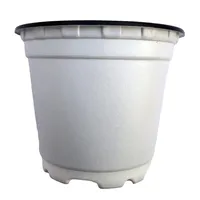 گلدان مدل ژله ای کد vnfrpot-8 مجموعه 12 عددی