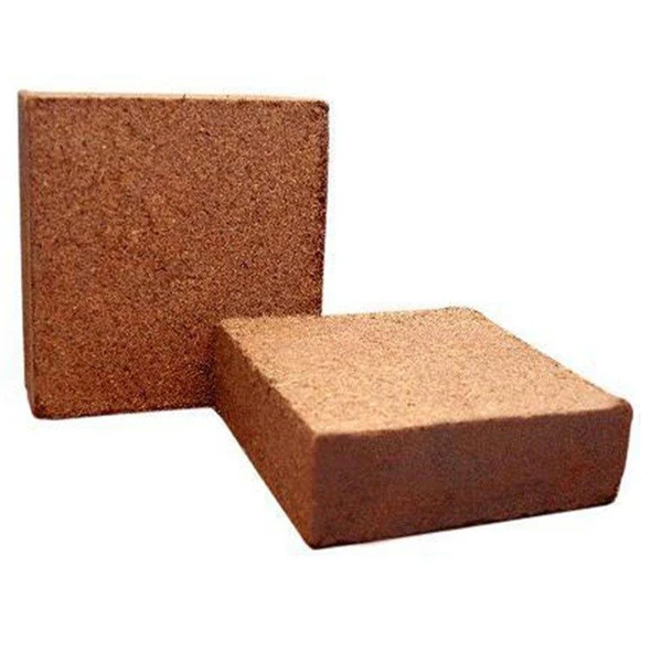 عکس شماره 3 : کوکوپیت گرین سیرلانکا مدل 01 وزن 5 کیلوگرم