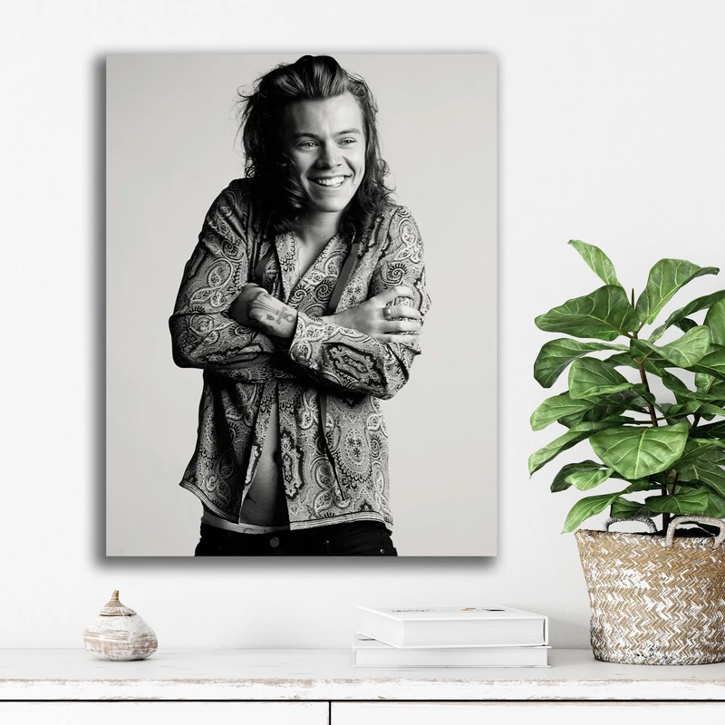 تابلو شاسی آتریسا مدل هری استایلز Harry Styles