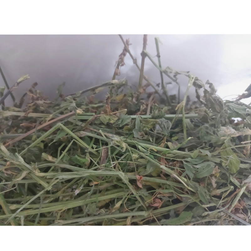 یونجه مدل سیدر وزن 1000 گرم