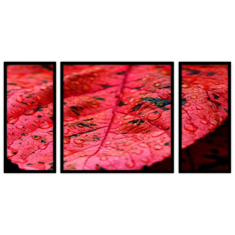 تابلو بکلیت طرح برگ و طبیعت مدل B-bu3657 مجموعه 3 عددی