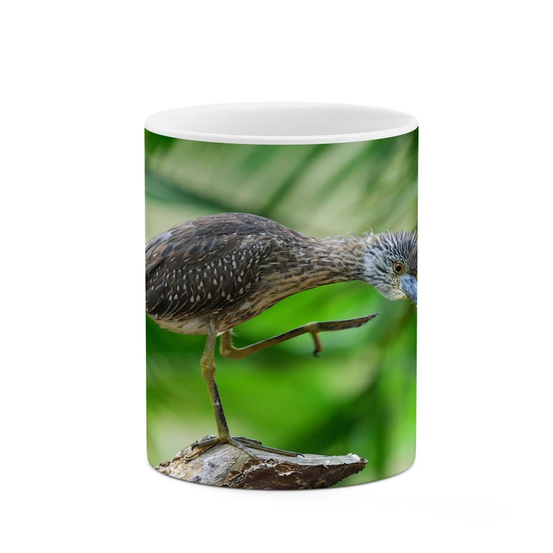 ماگ کاکتی مدل پرنده کد mgh17978