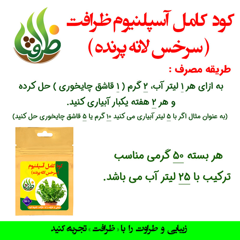 کود کامل تقویتی آسپلنیوم ظرافت مدل KO21826 وزن 50 گرم