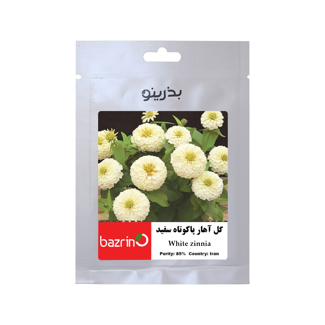 بذر گل آهار پاکوتاه سفید بذرینو کد BZNO-006