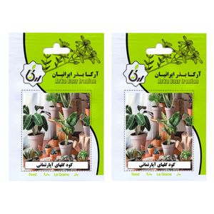 کود گلهای آپارتمانی آرکا بذر ایرانیان کد 124-ARK وزن 65 گرم مجموعه 2 عددی