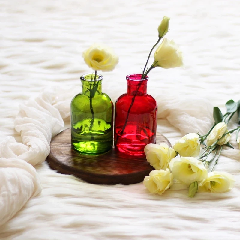 گلدان دکوری شیشه‌ای مدل SD24، مناسب قلمه‌ زدن گیاهان و گل و گیاه طبیعی و خشک، مجموعه 2 عددی، ابعاد 14x12x12 سانتی‌متر، وزن 200 گرم