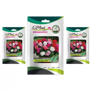 بذر گل شمعدانی گلبرگ پامچال کد GPF-166 مجموعه 3 عددی