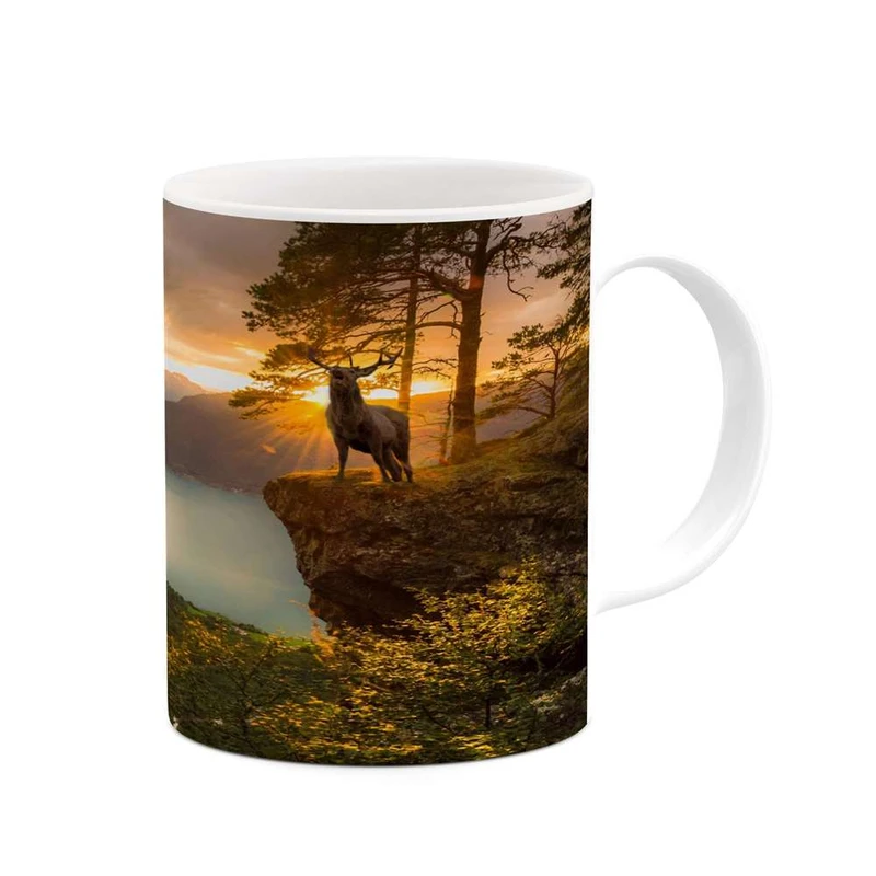 ماگ کاکتی مدل منظره کد mgh14481