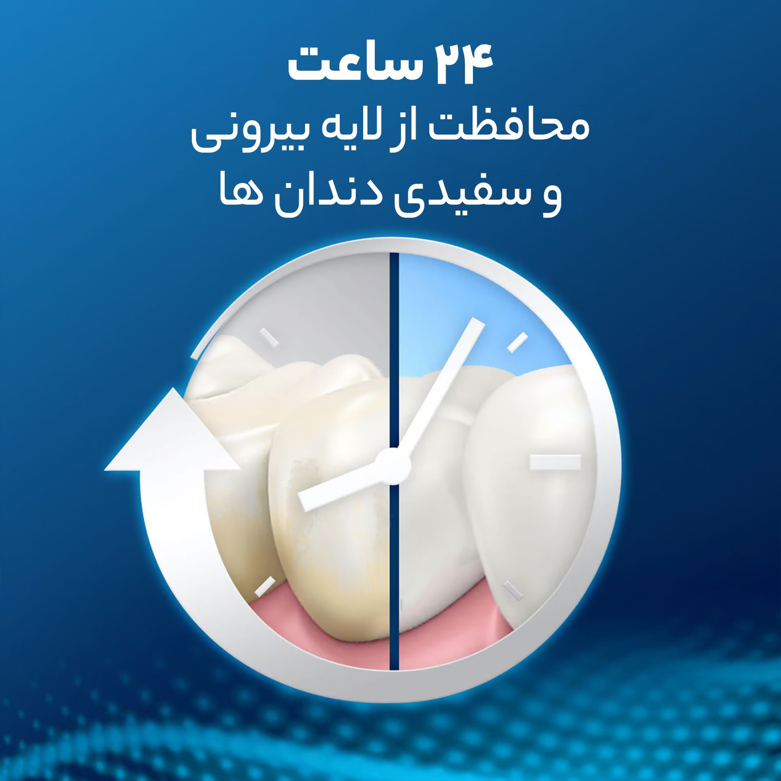 خمیر دندان اورال-بی سری Pro-Expert All Around Protection مدل Clean Mint حجم 75 میلی لیتر -  - 9