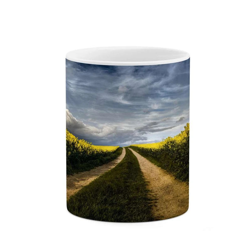 ماگ کاکتی مدل منظره کد mgh13190