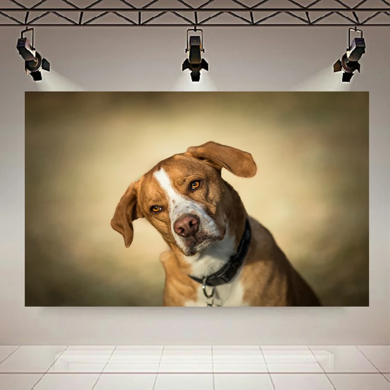 تابلو بوم طرح مخمل سگ مدل قهوه ای کد AR305329