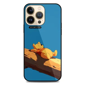 AKAM AMC-WA13PRO-POOH-13 Cover For Apple iPhone 13 Pro