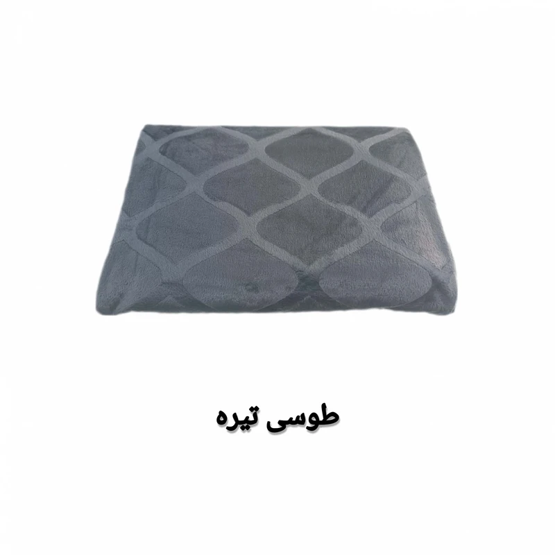 عکس شماره 4