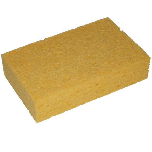 اسفنج گیاهی طبیعی ویتنت مدل 146001