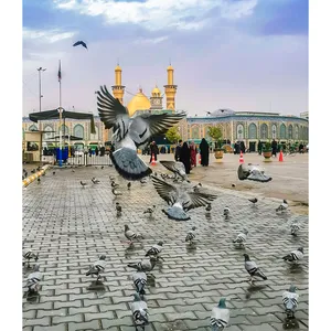 تابلو شاسی مدل کربلا حرم حضرت ابالفضل العباس (ع) کد 08