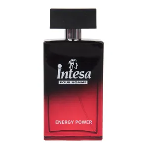 Intesa Energy Power Eau De Toilette For Men 100ml