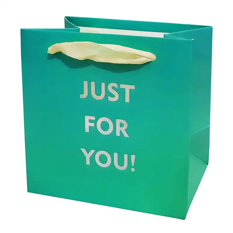 پاکت هدیه مدل JUST FOR YOU کد 11101055